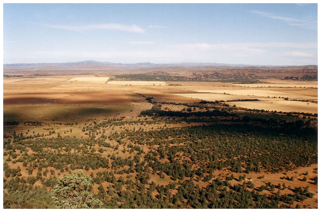 03 - The Flinders Ranges (3).jpg